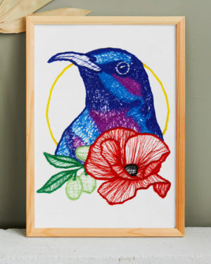 Sunbird Palestine